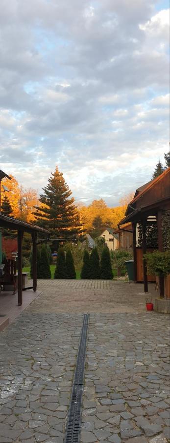 Bungalow Hugo Oppach ภายนอก รูปภาพ
