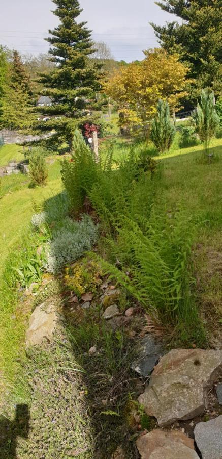 Bungalow Hugo Oppach ภายนอก รูปภาพ